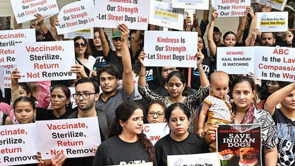 Supreme Court Stray Dog Order 2025 - Stray dogs feeding rules and release after vaccination